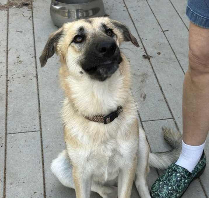 Photo of Tilly Too