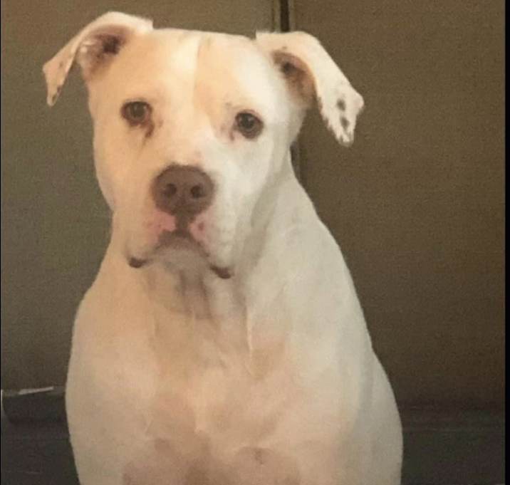 Photo of Kilo
