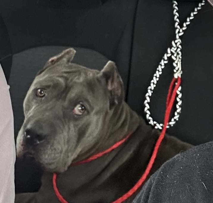 Photo of Zeus