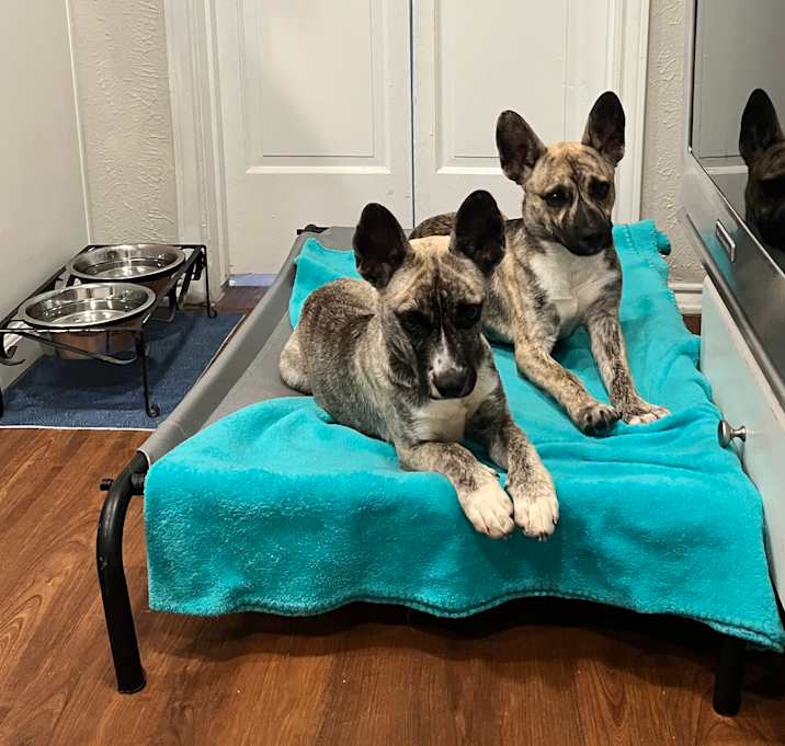 Photo of Mora and Melon