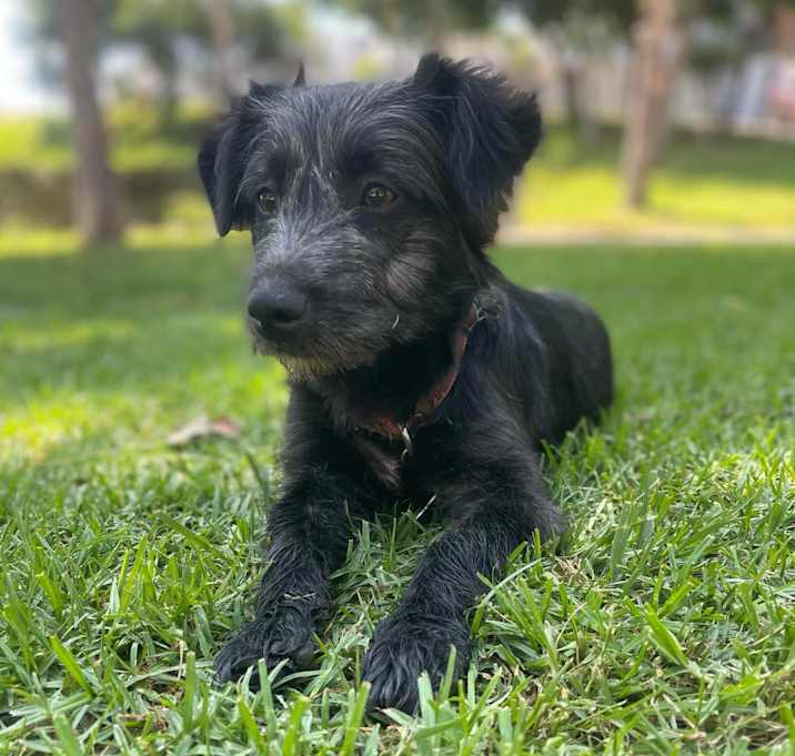 Photo of Bella