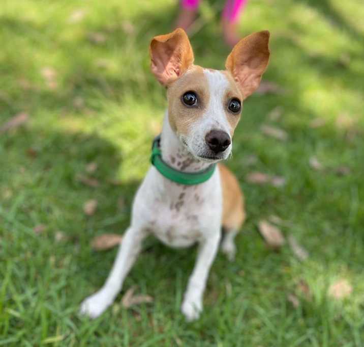 Photo of Libby