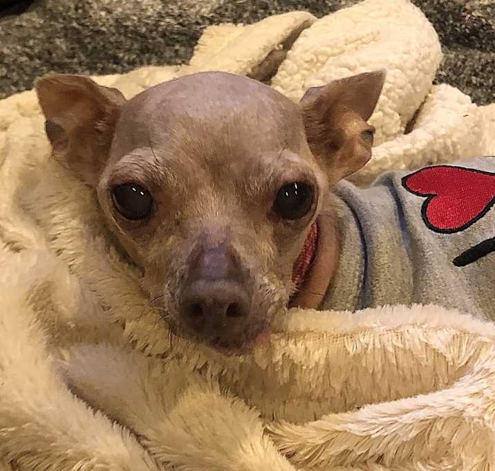 Photo of Matilda