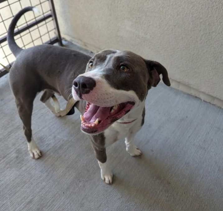 Photo of Roscoe