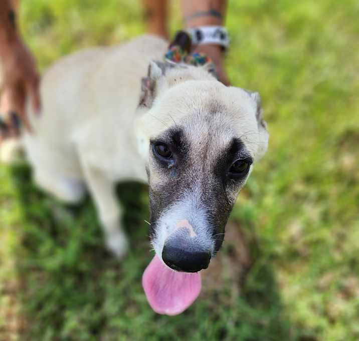 Photo of Libby