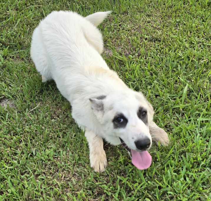 Photo of Aspen