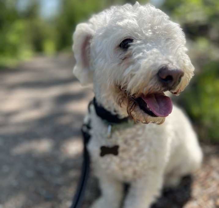 Photo of Walter