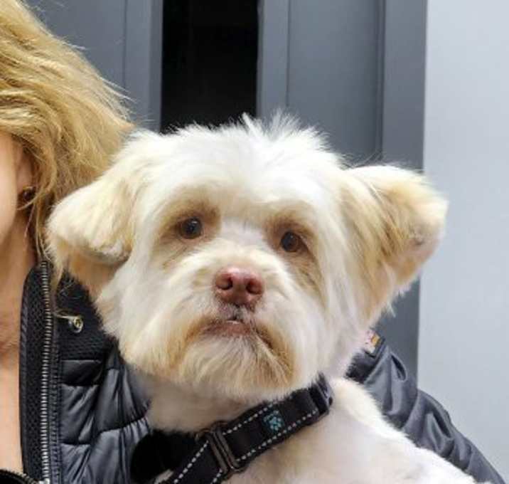 Photo of Barkley