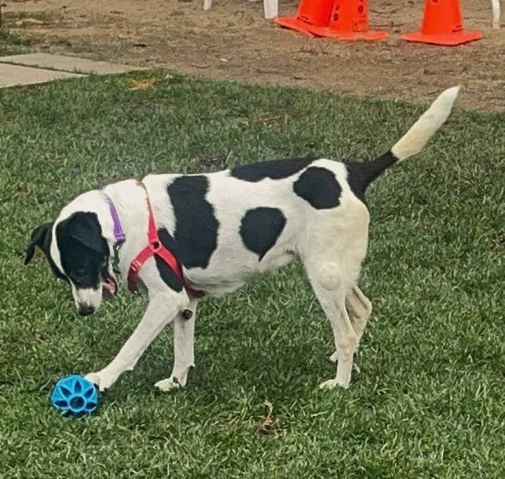 Photo of Molly