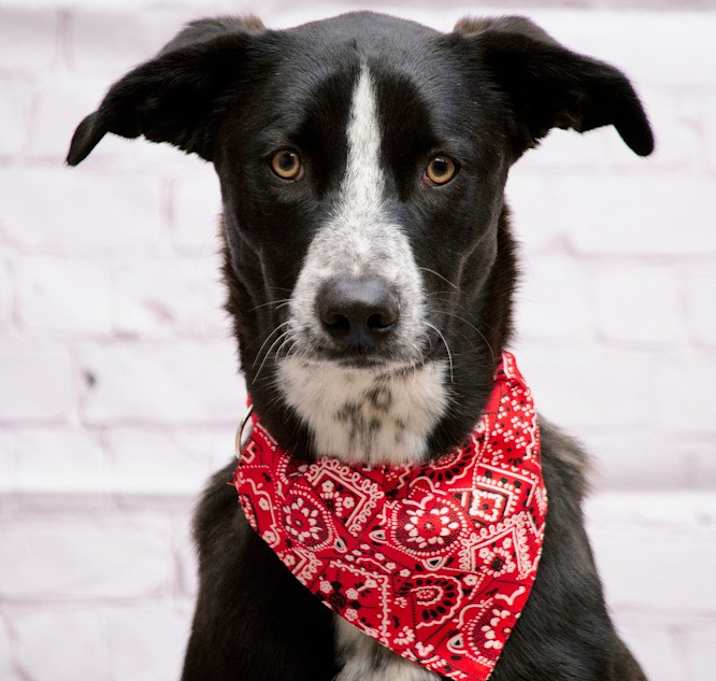 Photo of JUNIOR