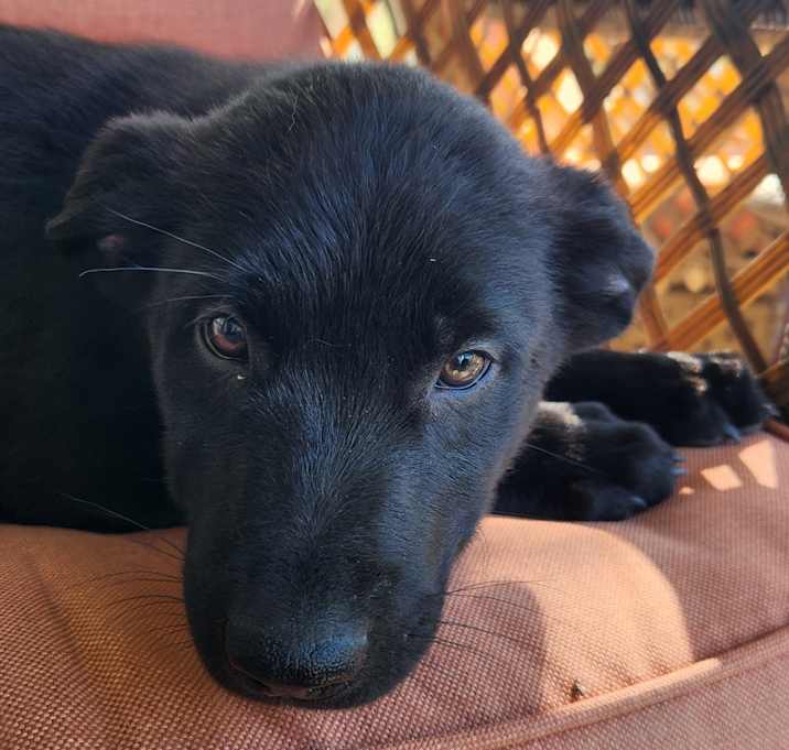 Photo of Edison