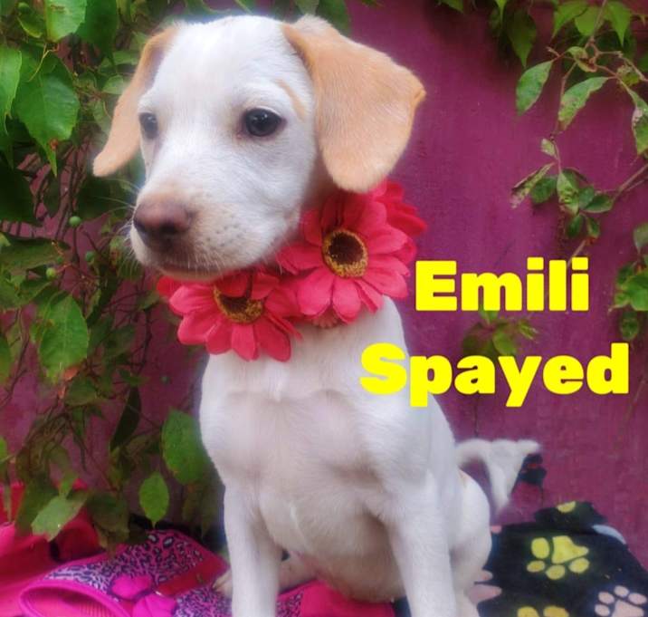 Photo of Emili