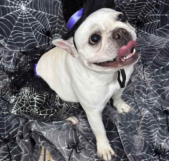 Photo of Nela