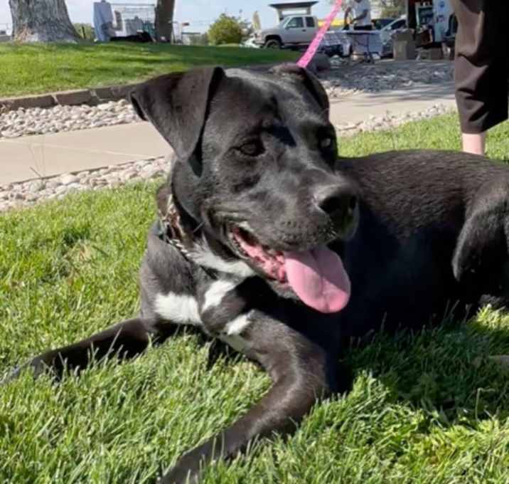Photo of Meg aka Onyx