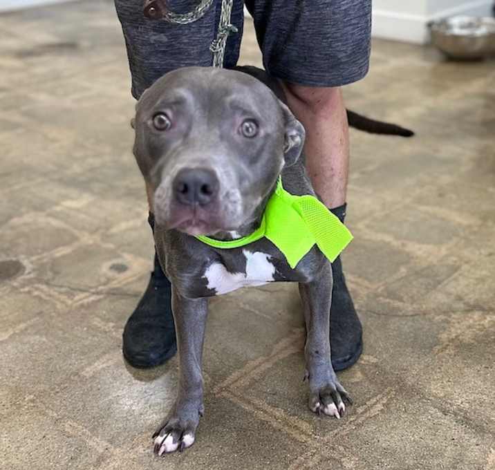 Photo of Sterling Angel (COURTESY POST)