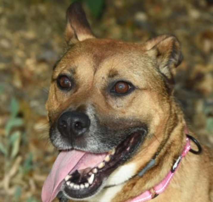 Photo of Nala Angel (COURTESY POST)