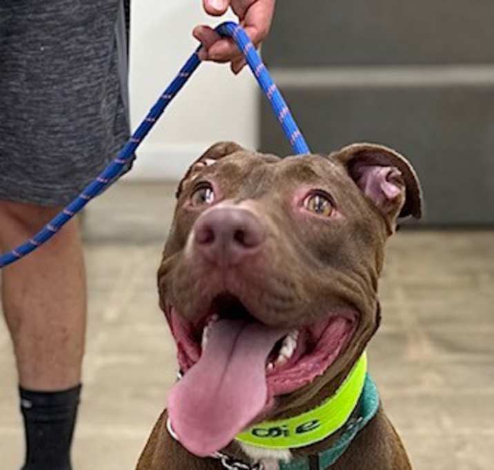Photo of Moosie Angel (COURTESY POST)