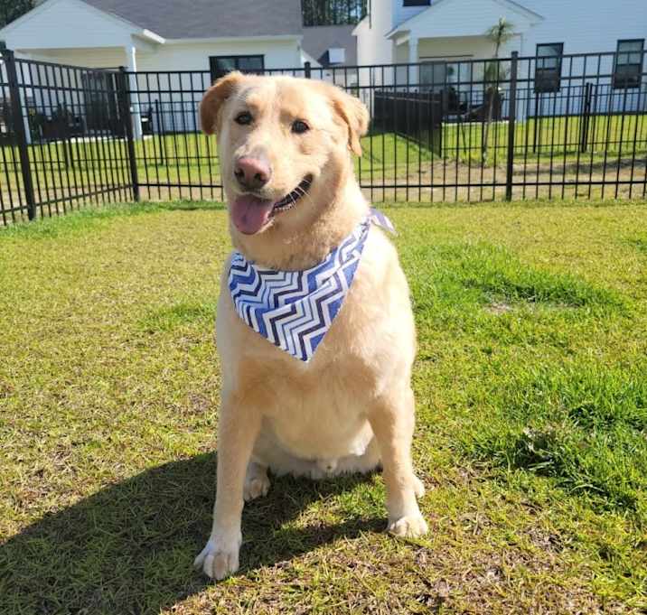 Photo of Oso
