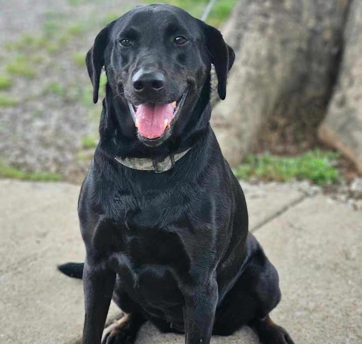 Photo of Nellie