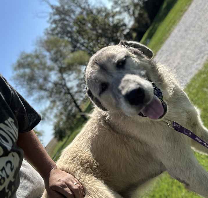Photo of Luigi
