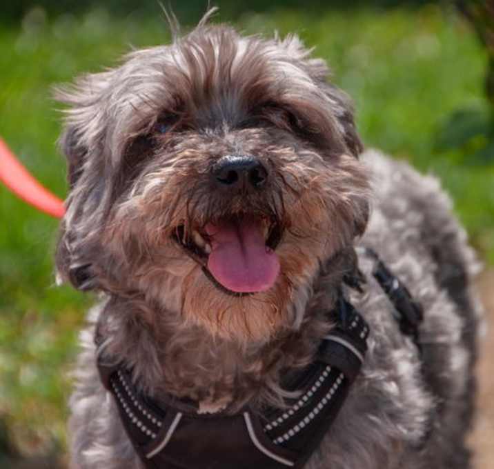 Photo of Wally