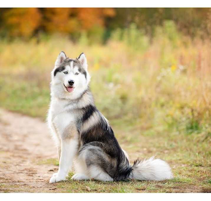 Photo of Sasha