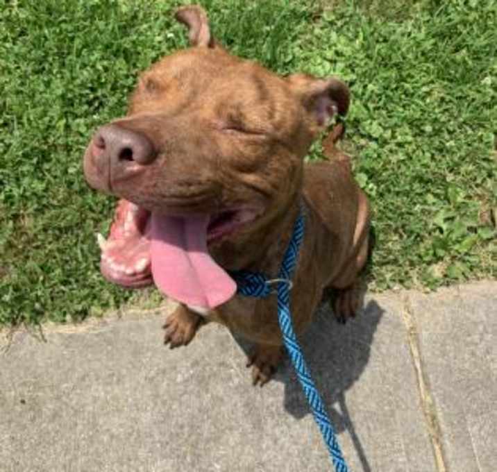 Photo of Ruby