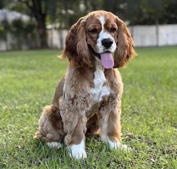 Photo of Wilson
