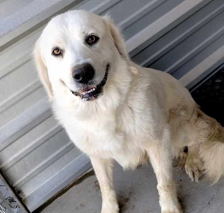 Photo of Freya