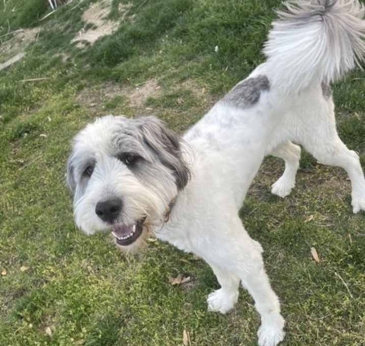 Photo of Daisy