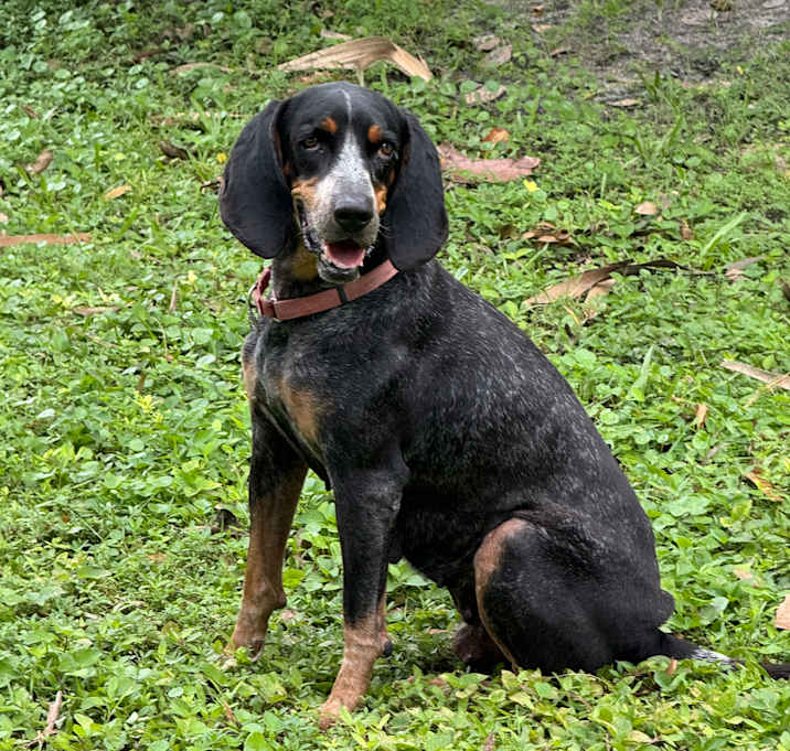 Photo of RORI