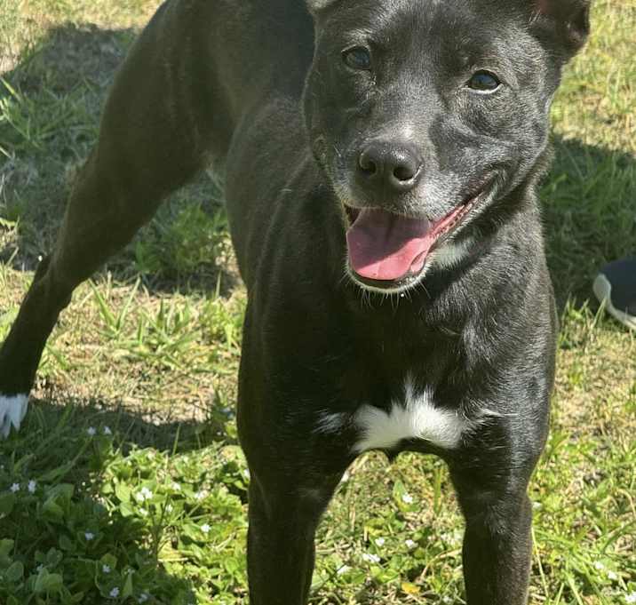 Photo of Dixxie