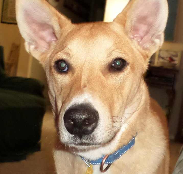 Photo of Kip