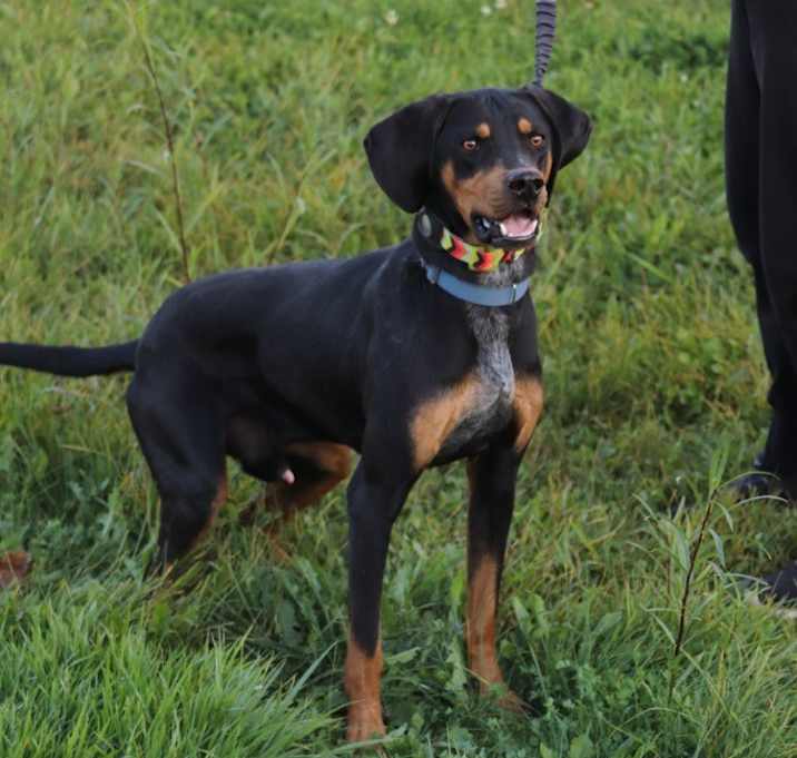 Photo of Gunner