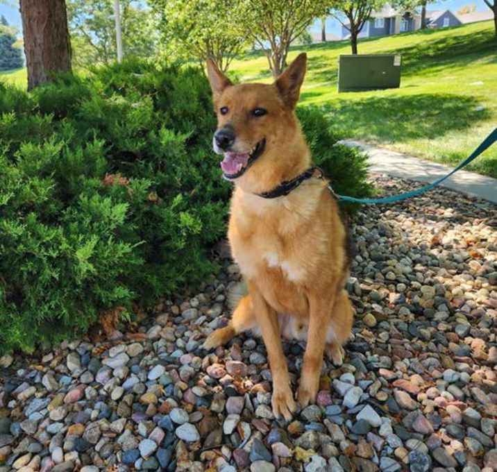 Photo of Ronin