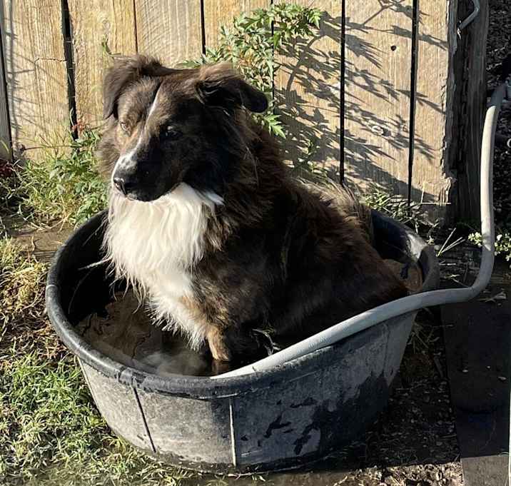 Photo of Duke