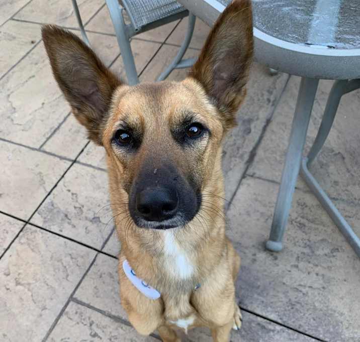 Photo of Charlie