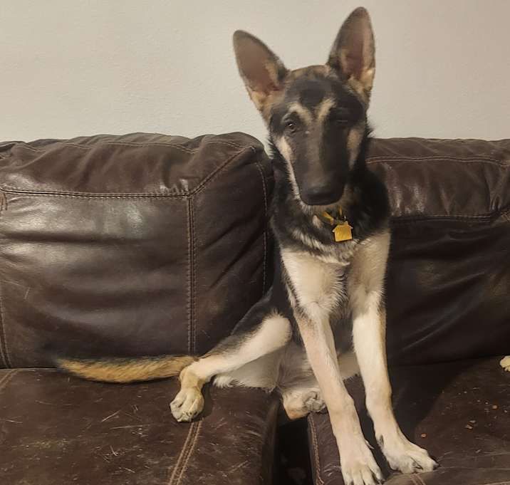 Photo of Aspen