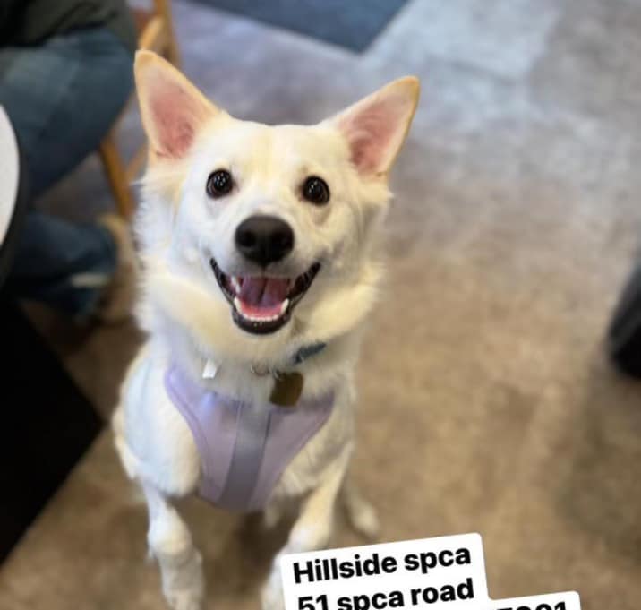 Photo of Hilary Fluff