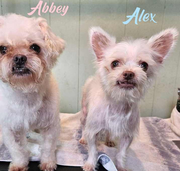 Photo of Alex and Abbey