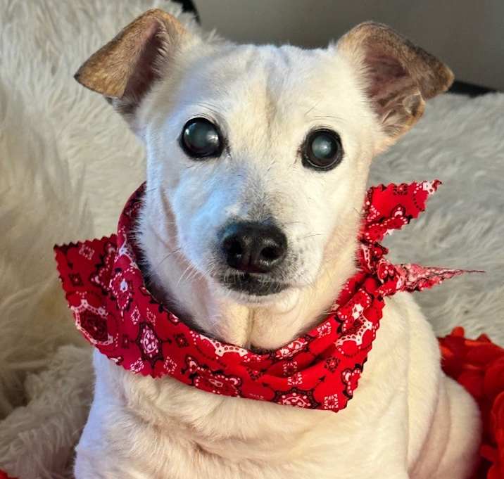 Photo of Sheldon