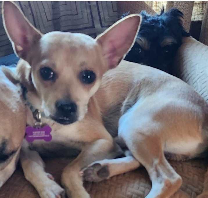 Photo of Chase & Ace