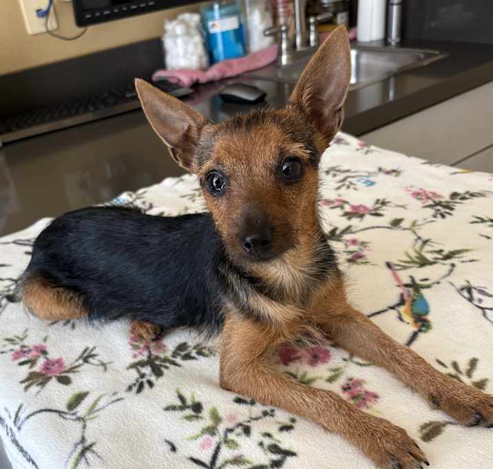 Photo of Lexi