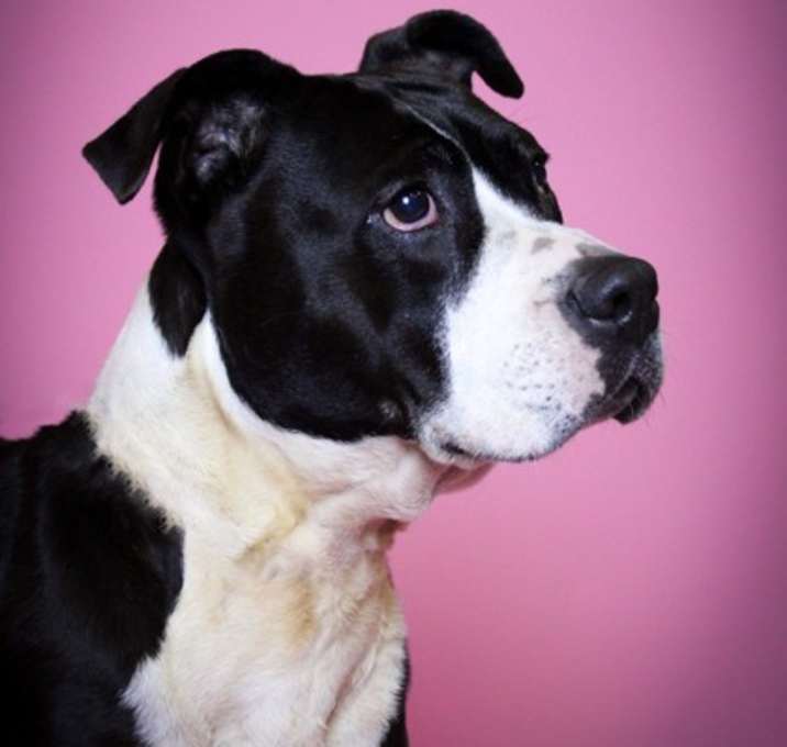 Photo of Zoey