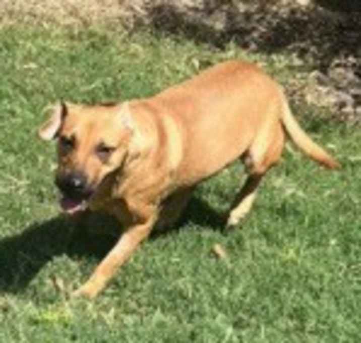 Photo of Skippy