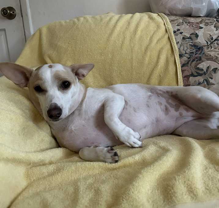 Photo of Izzy
