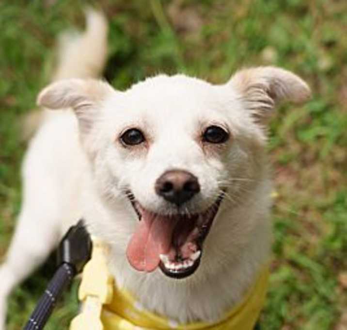 Photo of Bori (D)