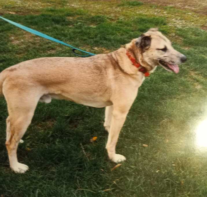 Photo of Thor