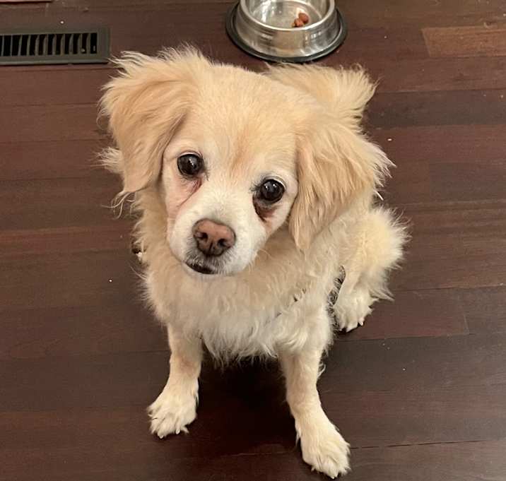 Photo of Bentley