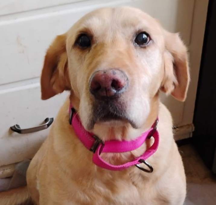 Photo of Tessie